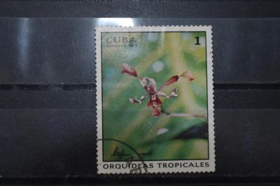Лот: 3961583. Фото: 1. марка 32 Куба 1973 флора. Марки