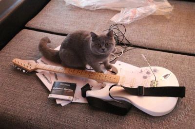Лот: 2531654. Фото: 1. ГитараiAXE393 USB-GUITAR Обмен... Гитары