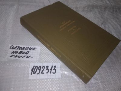 Лот: 21040497. Фото: 1. (1092313) Мельников (Андрей Печерский... Художественная