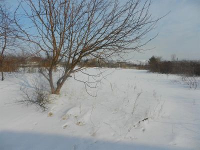 Лот: 3884765. Фото: 1. Дача в солнечном. Дачи