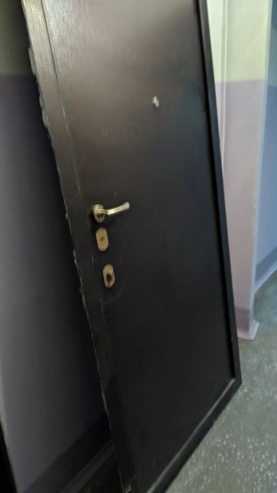 Лот: 16086254. Фото: 1. Входная дверь. Двери входные