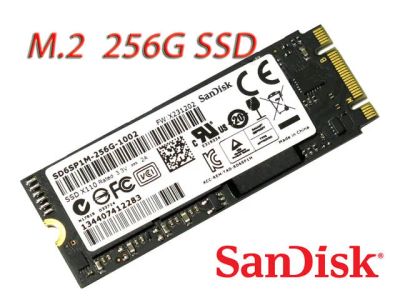 Лот: 6182172. Фото: 1. SSD 256GB SanDisk X110 SD6SP1M-256G... SSD-накопители