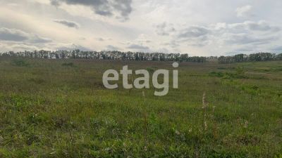 Лот: 19448665. Фото: 1. участок , посёлок Солонцы посёлок... Земельные участки