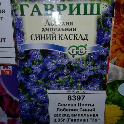 Лот: 9117990. Фото: 1. Семена / Цветы / Лобелия / Синий... Садовые цветы