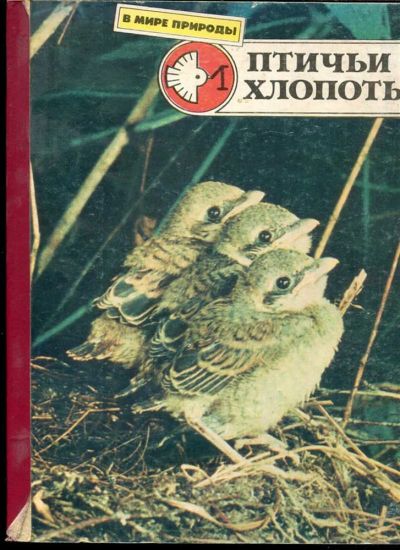 Лот: 23433430. Фото: 1. Птичьи хлопоты | Книжка-картонка... Познавательная литература
