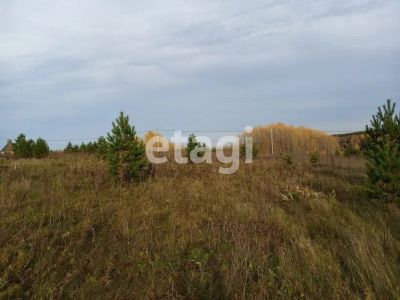 Лот: 25287721. Фото: 1. участок , деревня Таскино деревня... Земельные участки