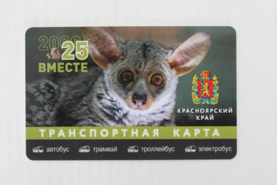 Лот: 25763194. Фото: 1. Транспортная карта. 2025. Красноярский... Билеты, талоны