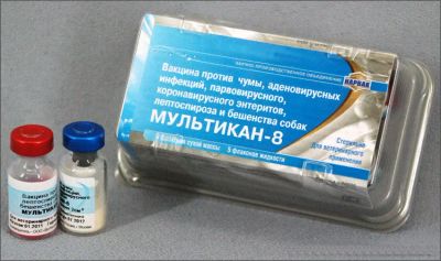 Лот: 11014138. Фото: 1. Мультикан - 8 ,вакцина для собак... Лекарства для животных, ветеринарные препараты