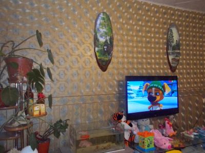 Лот: 8560429. Фото: 1. 3 комнатная квартира в северном. Квартиры, студии