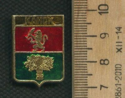 Лот: 17683474. Фото: 1. ( № 8914 ) значки гербы городов... Сувенирные