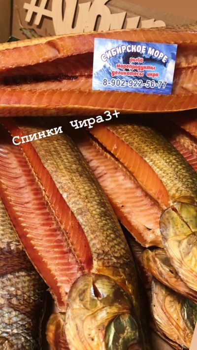 Лот: 10732760. Фото: 1. Рыба Чир Х/К 2,5кг+. Икра, рыба, морепродукты
