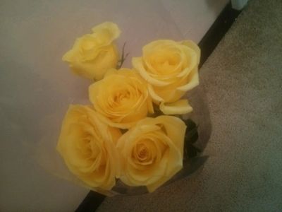 Лот: 9537240. Фото: 1. Букет 5 желтых роз. Свежие цветы