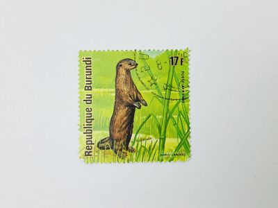 Лот: 23963587. Фото: 1. Животные Африки. Капская бескоготная... Марки