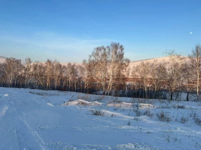 Лот: 25293461. Фото: 1. участок , СПК Солонцы СПК Солонцы... Земельные участки