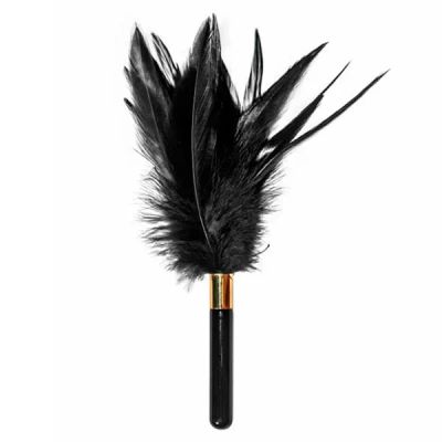 Лот: 20346849. Фото: 1. Тиклер Burlesque Plume Black. Игрушки