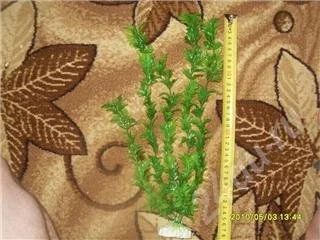 Лот: 343124. Фото: 1. водоросль искуственная 40 см. Водные растения