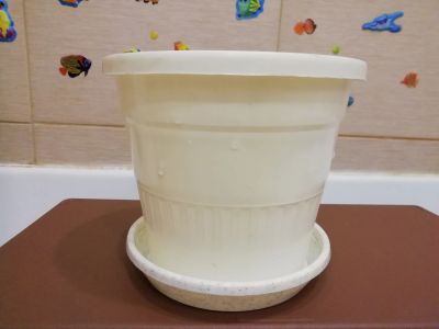 Лот: 12663651. Фото: 1. горшок белый. Кашпо, горшки, вазоны для цветов
