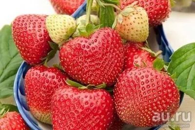 Лот: 13329489. Фото: 1. Клубника Кимберли. Ягоды