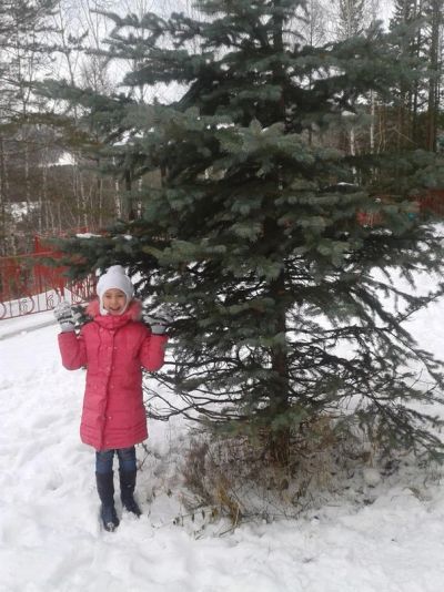 Лот: 5133574. Фото: 1. куртка для девочки, весенняя курточка... Верхняя одежда