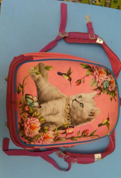 Лот: 24673049. Фото: 1. Рюкзак каркасный, Luris Колибри... Рюкзаки, портфели