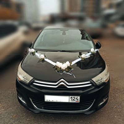 Лот: 24341136. Фото: 1. Украшение автомобиля. Другое (оснащение, оборудование, аксессуары)