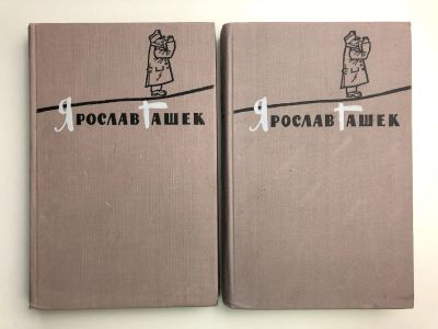 Лот: 23303934. Фото: 1. Избранное в двух томах. Оба тома... Художественная