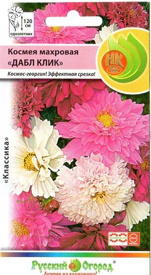 Лот: 7881315. Фото: 1. Космея махровая Дабл клик. Садовые цветы
