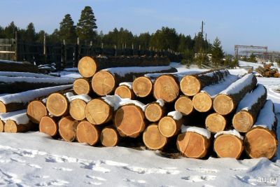 Лот: 13604373. Фото: 1. Куплю круглый лес, лиственница. Древесина, пиломатериал