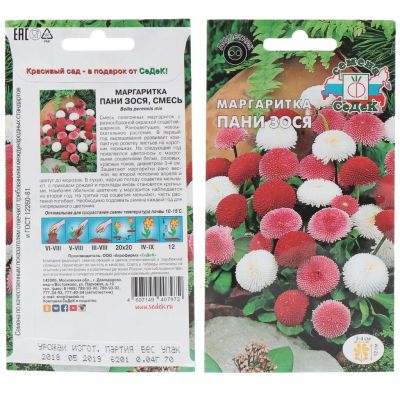 Лот: 24079273. Фото: 1. Семена Цветы, Маргаритка, Пани... Другое (семена, рассада, садовые растения)