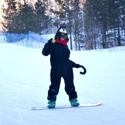Лот: 3650998. Фото: 1. Пижама / кигуруми /(сноуборд-костюм... Другое (одежда, обувь, галантерея)