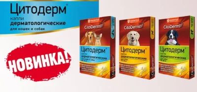 Лот: 24576070. Фото: 1. CitoDerm капли дерматологические... Лекарства для животных, ветеринарные препараты