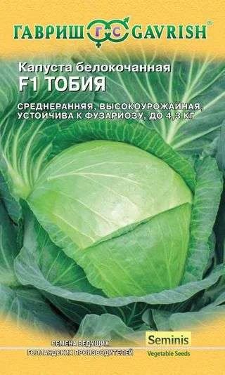 Лот: 11012411. Фото: 1. Капуста белокоч. Тобия F1 10 шт... Овощи