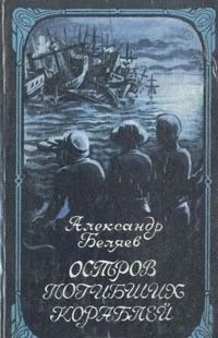 Лот: 3352810. Фото: 1. Остров погибших кораблей. Александр... Художественная