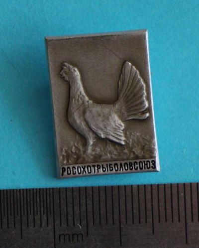 Лот: 9944724. Фото: 1. Знак: Росохотрыболовсоюз. Глухарь... Сувенирные