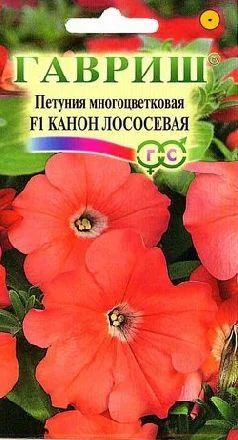 Лот: 5387863. Фото: 1. Петуния многоцветковая Канон лососевая... Другое (семена, рассада, садовые растения)