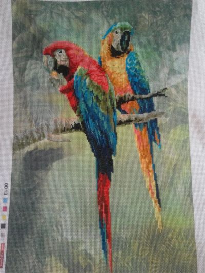 Лот: 3583294. Фото: 1. вышитая картина попугаи. Вышивание