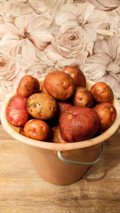 Лот: 19878686. Фото: 1. Картошка картофель. Картофель