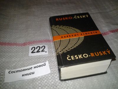 Лот: 7058837. Фото: 1. Русско-чешский и чешско-русский... Словари