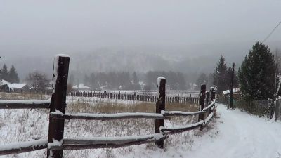 Лот: 4631248. Фото: 1. Дача наст. Таёжная. Дачи