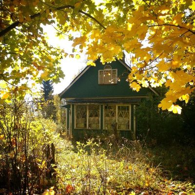 Лот: 15528735. Фото: 1. Куплю недорого дачу или участок... Земельные участки