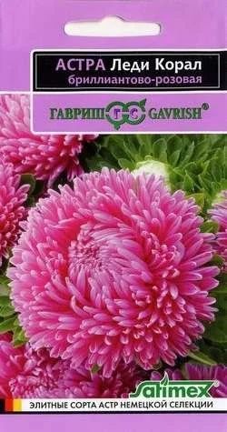 Лот: 11023134. Фото: 1. Астра Леди Корал бриллиантово-розовая... Садовые цветы