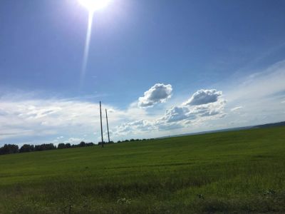 Лот: 8264089. Фото: 1. Участок в Березовке ИЖС. Земельные участки
