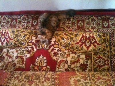 Лот: 5002276. Фото: 1. Ковёр. Ковры