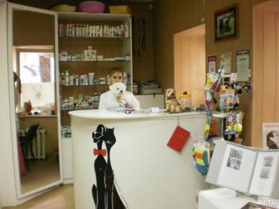 Лот: 14349681. Фото: 1. Действующий бизнес ООО, Зоосалон... Другое (готовый бизнес)