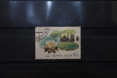 Лот: 3991891. Фото: 1. марки СССР 2 Кувшинка белоснежная... Марки