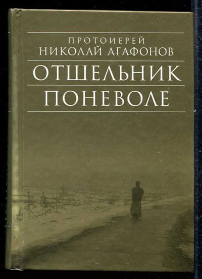 Лот: 23433321. Фото: 1. Отшельник поневоле | Рассказы. Художественная
