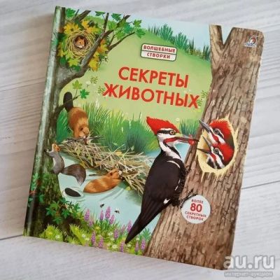 Лот: 15988766. Фото: 1. Книга с окошками "Секреты животных... Развивающие