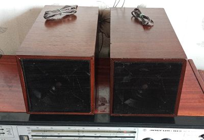 Лот: 25786177. Фото: 1. Колонки "Radiotehnika" Акустическая... Пассивные акустические системы