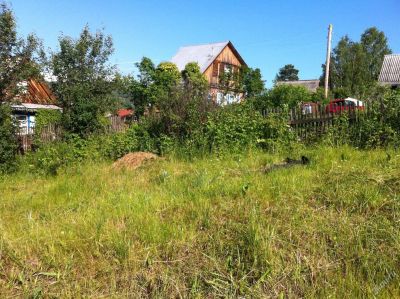 Лот: 3946814. Фото: 1. Участок под дачу 4 сотки в Петряшино... Земельные участки