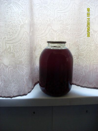 Лот: 4201200. Фото: 1. домашний компот. Напитки